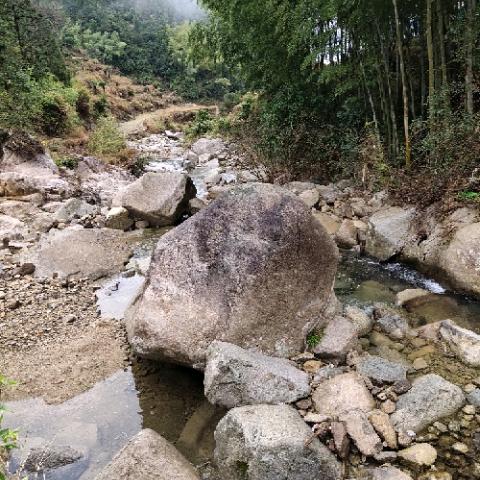 每天都开开心心快乐的