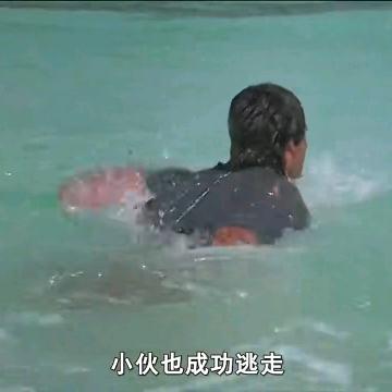 154585685488588山石