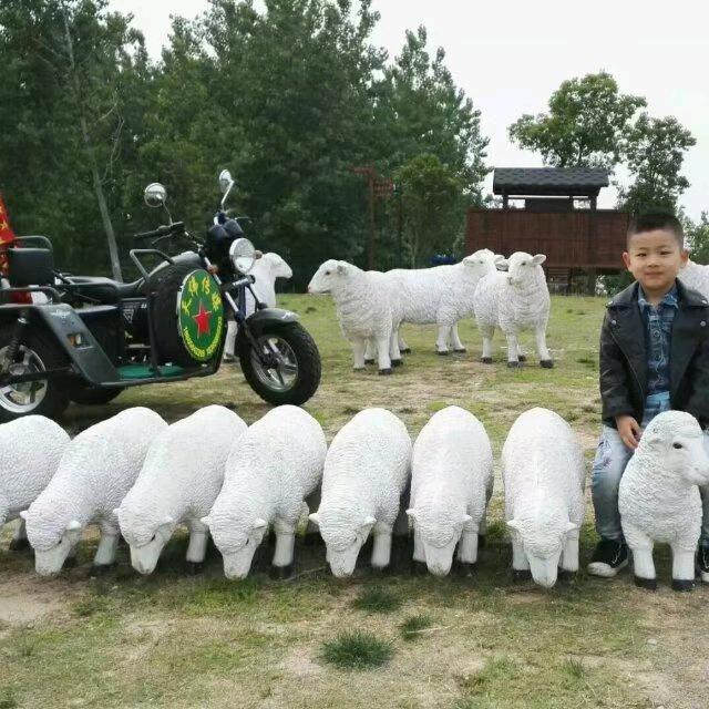 66号台球俱乐部