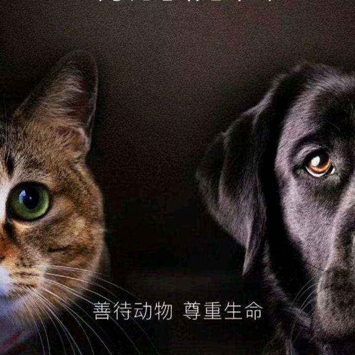 关爱从你我做起