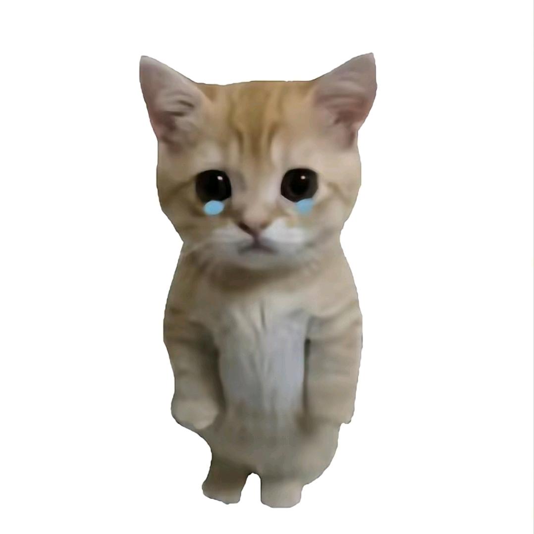 秋船眠