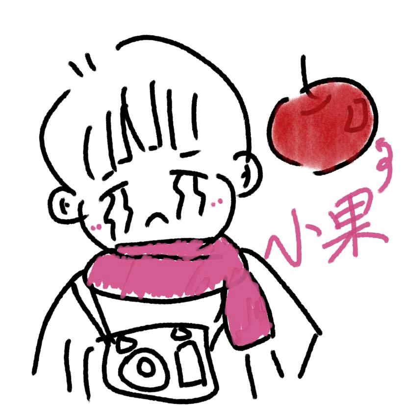 小果马卡龙