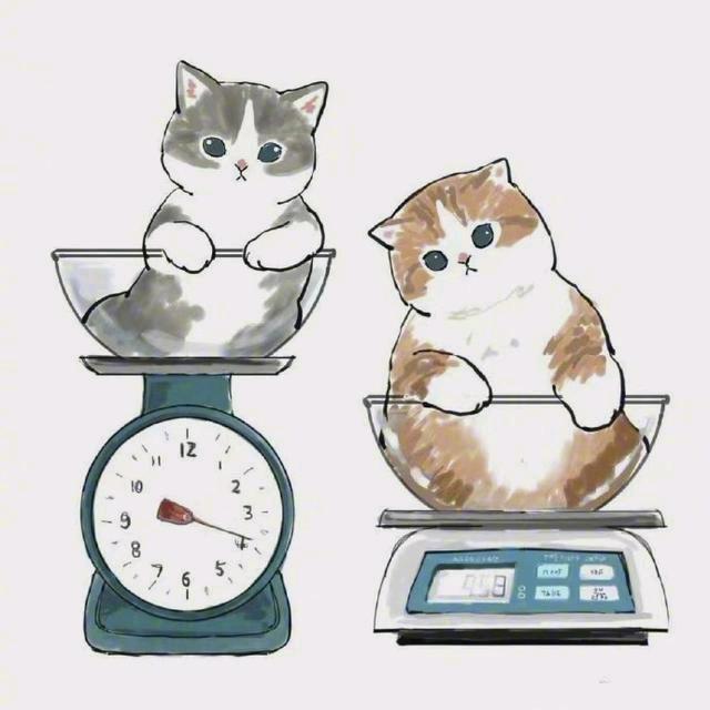 海洋馆里的余