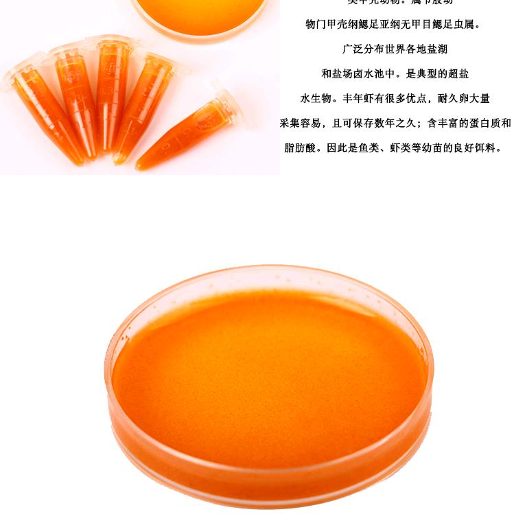 鱼多多丰年虾