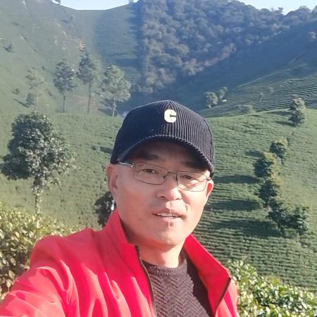 安吉阿七茶叶