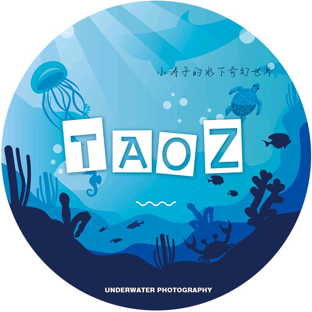 小涛子的水下奇幻世界