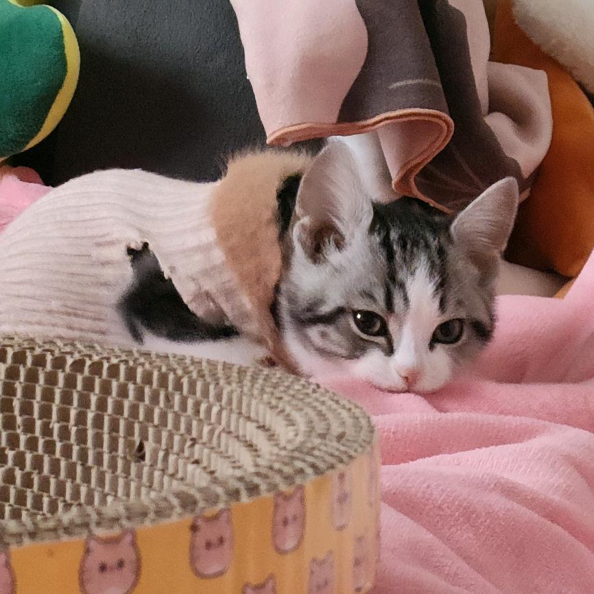 玉容斋