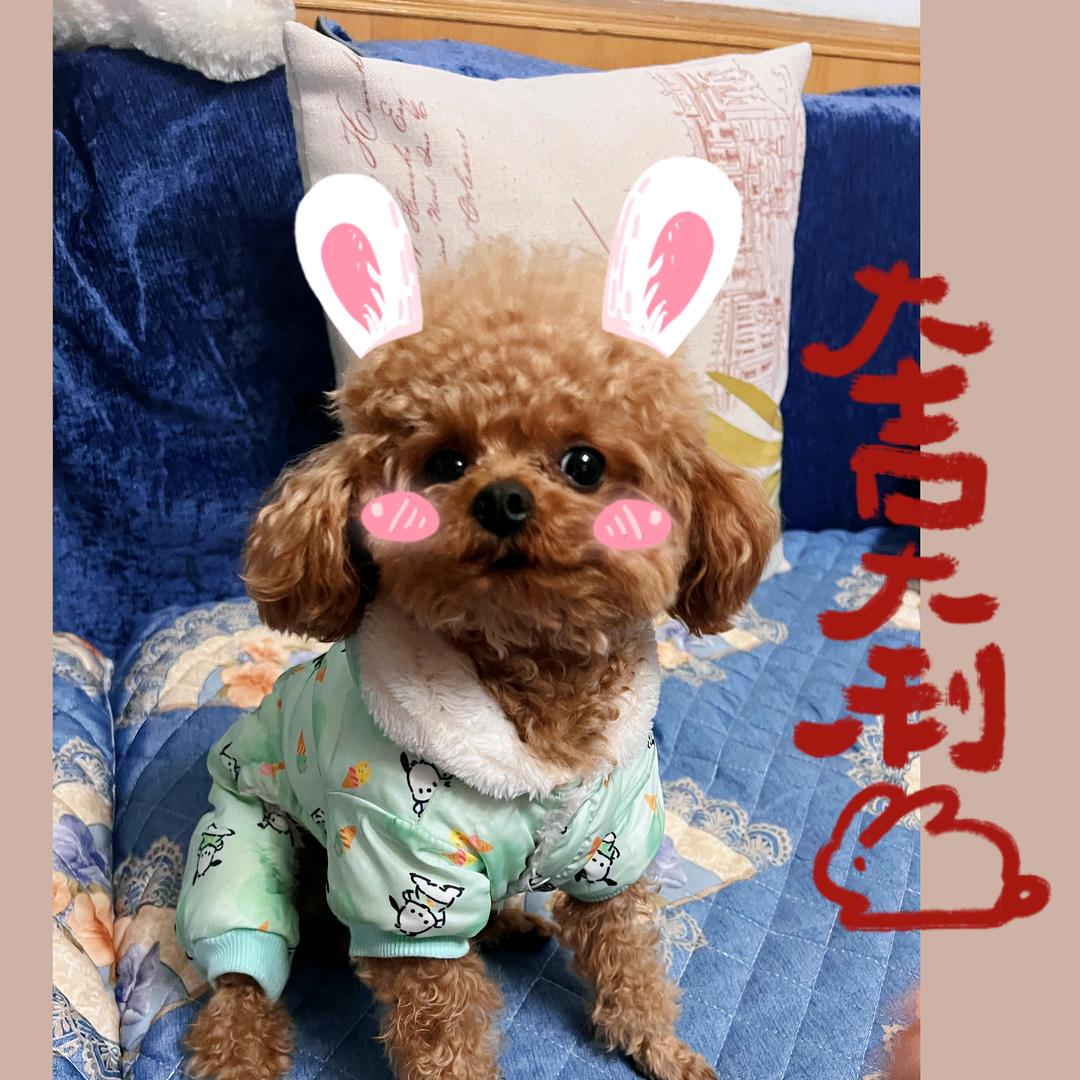幸运来袭
