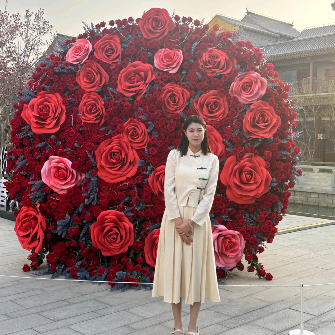 白玫瑰🌹