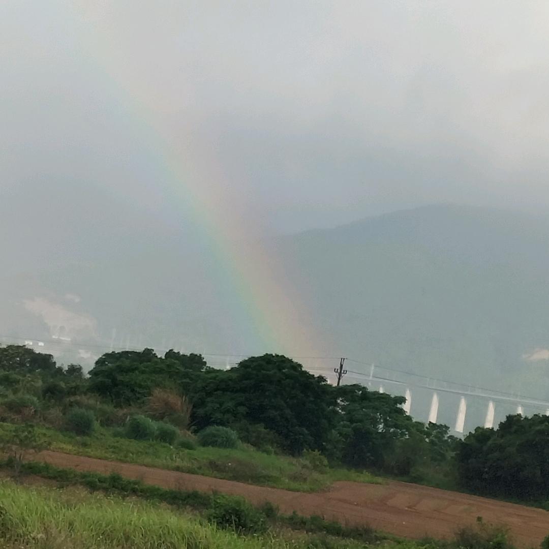 黄哥