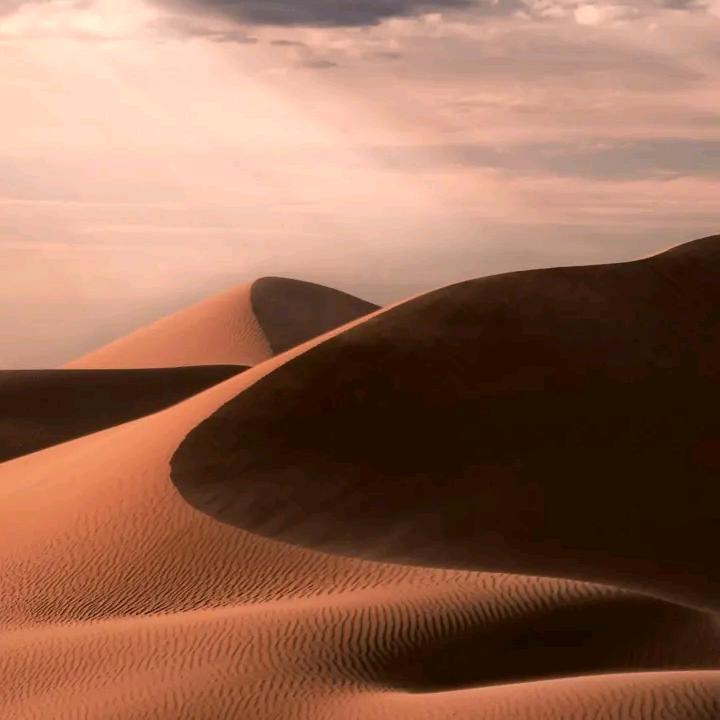 㗶꒰ •ॢ ̫ -ॢ๑꒱駶Ꮚ･᷄ꈊ･᷅Ꮚ