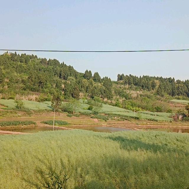 骆兴顺王春香
