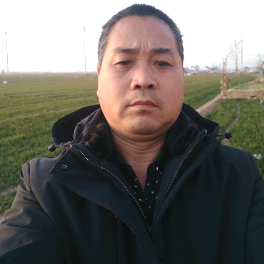 春天的梦