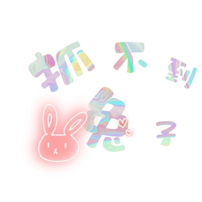 抓不到兔子🐰