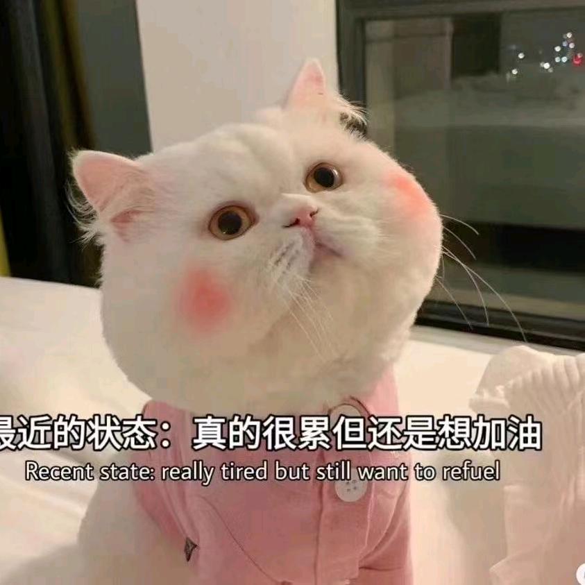 隔壁姐姐