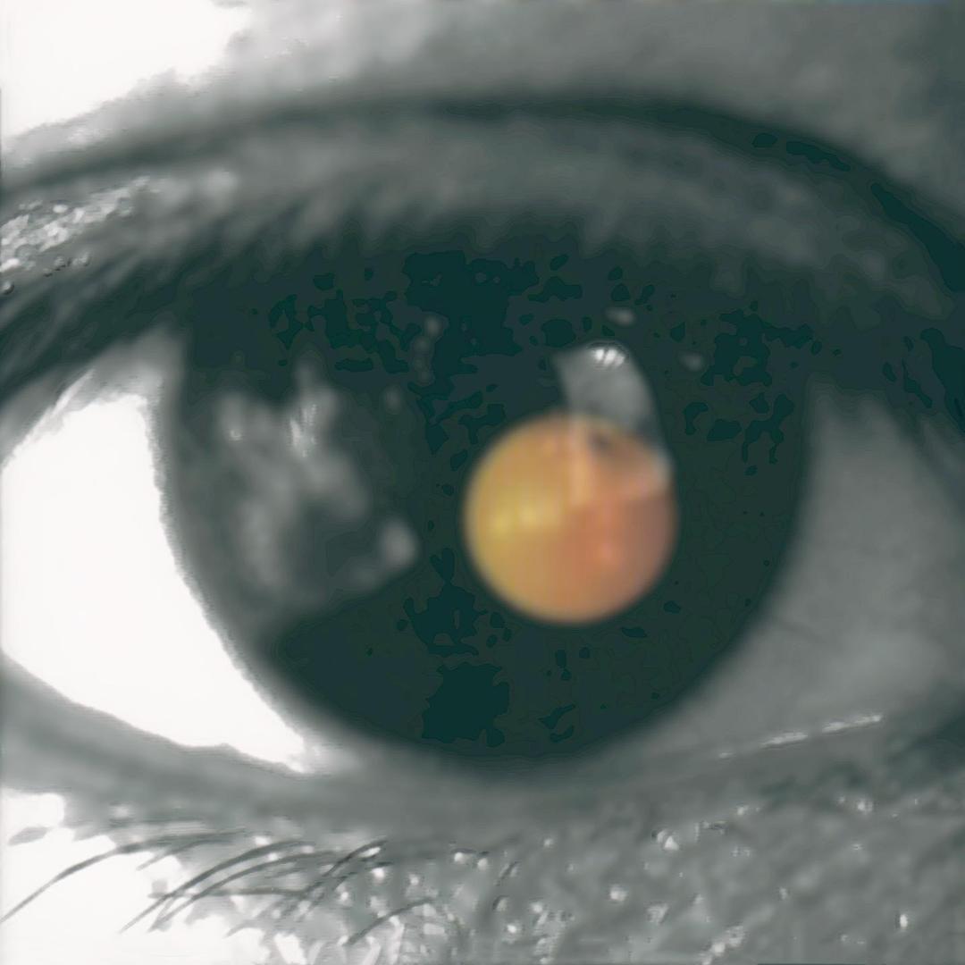 秋天是忽然间就来临