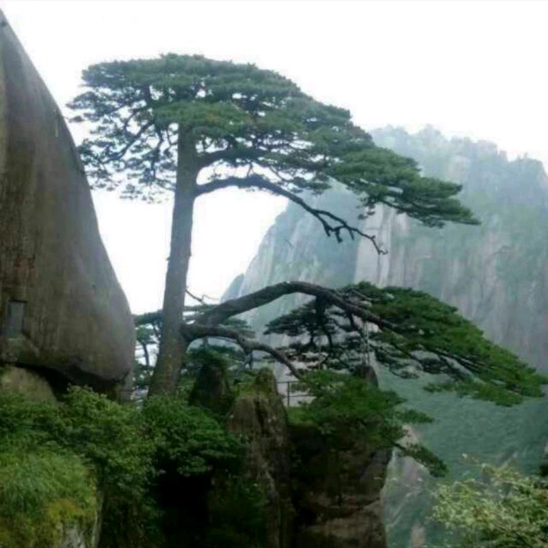 我是风呀，你是沙