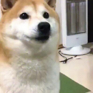 小陈和小赵头像