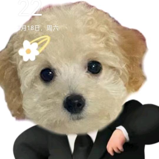 丽丽