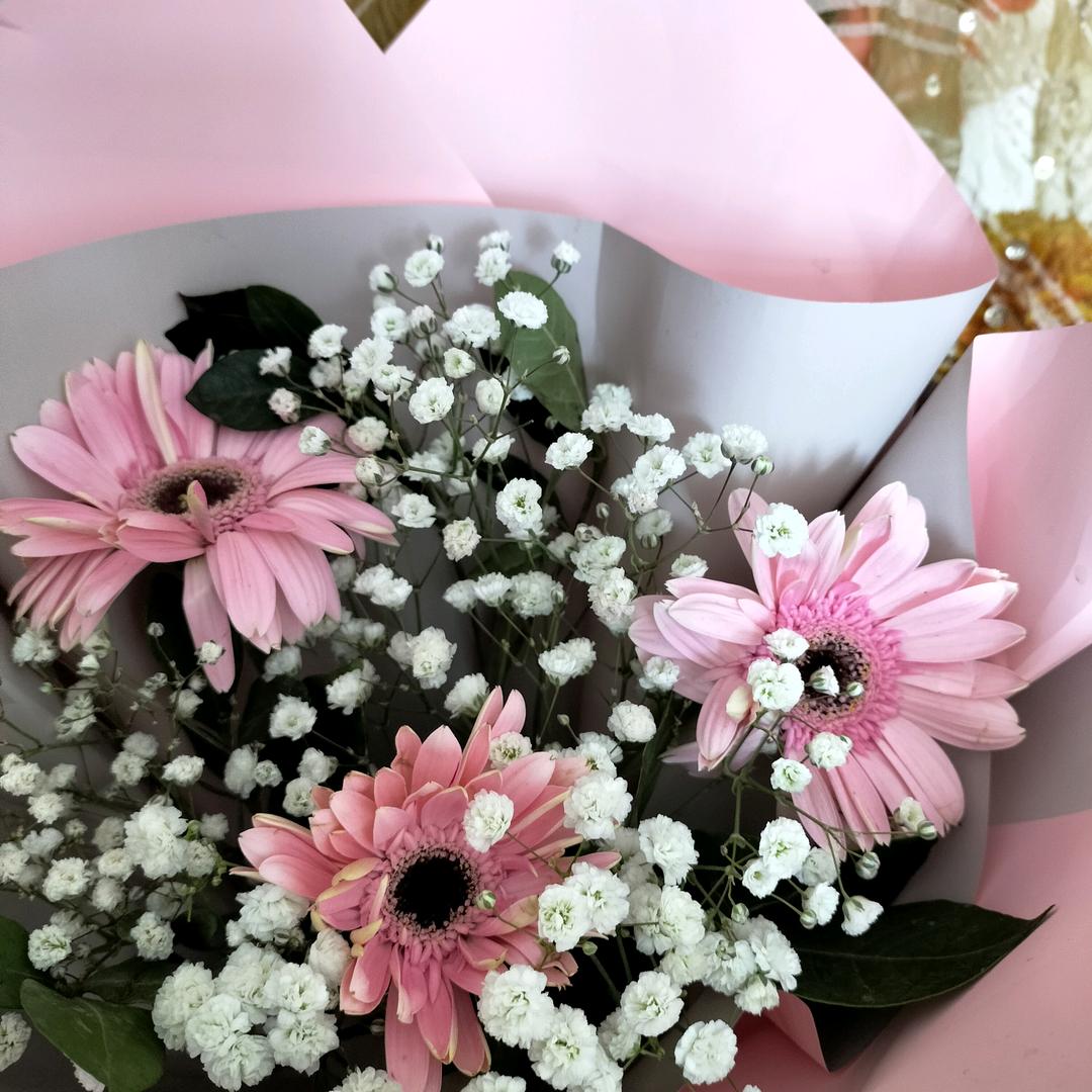 不求荣华富贵，只求一生平平安安健康就好