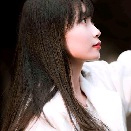 冰樱花梦