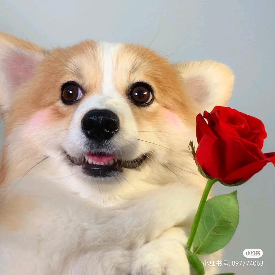 ღ蒋晓晗᭄ꦿ࿐