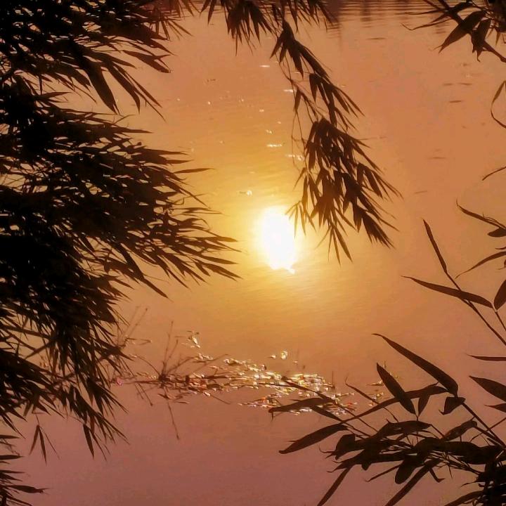 思乡.