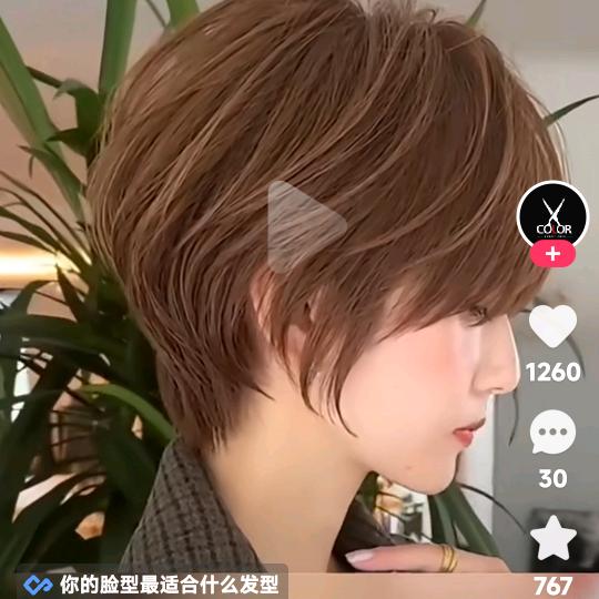 知离