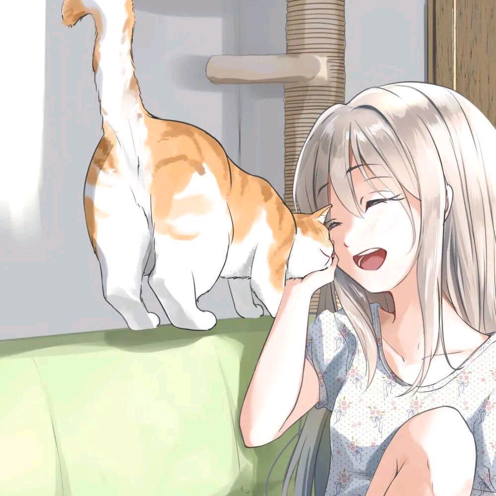 秃本兔兔兔