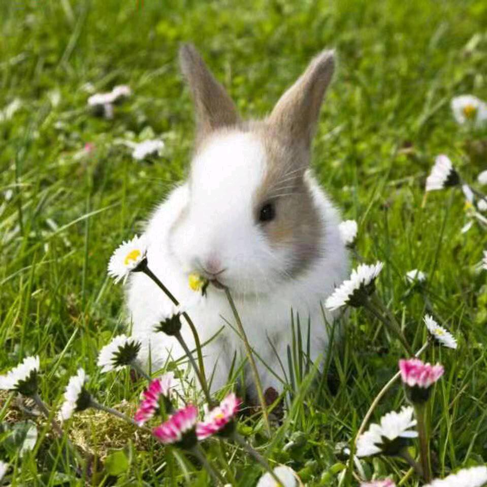 五月，秋天忙忙