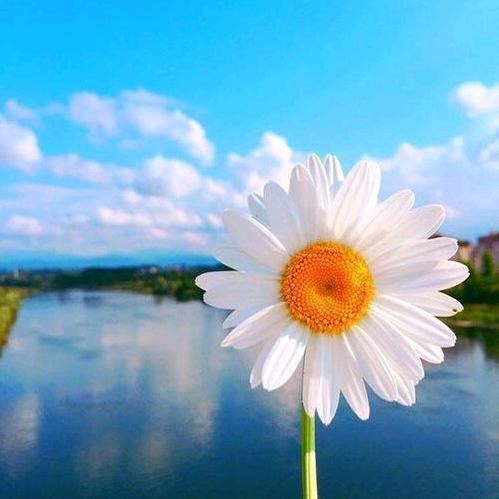 🐅⁰³.₀₉蔡℘࿐