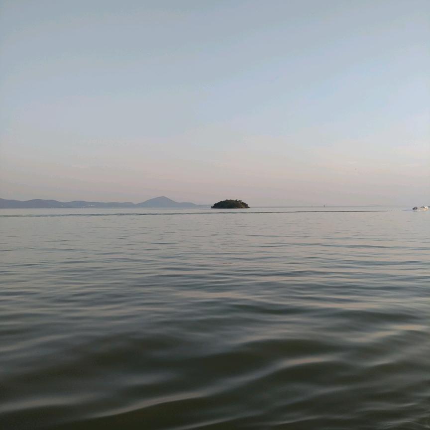 双兔兔1