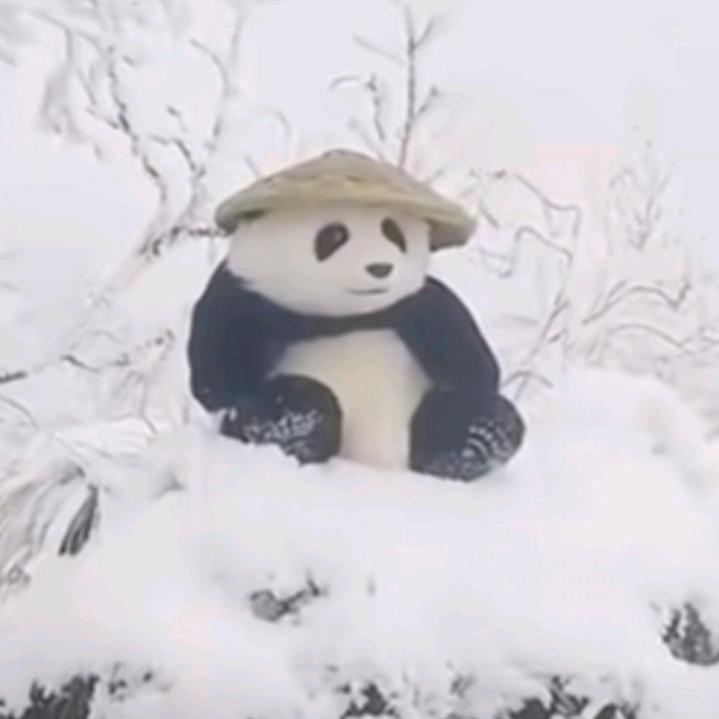 无敌钢炮