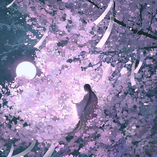 小花儿爱追剧