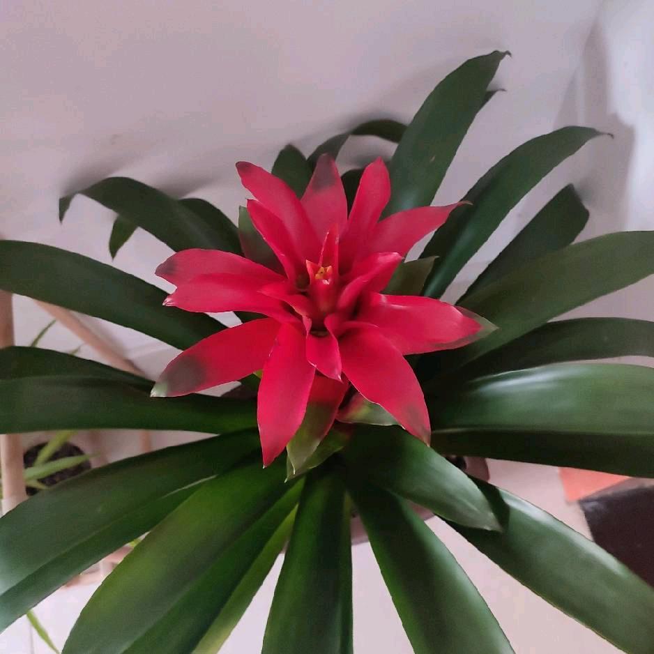 钱越来越来难难挣了