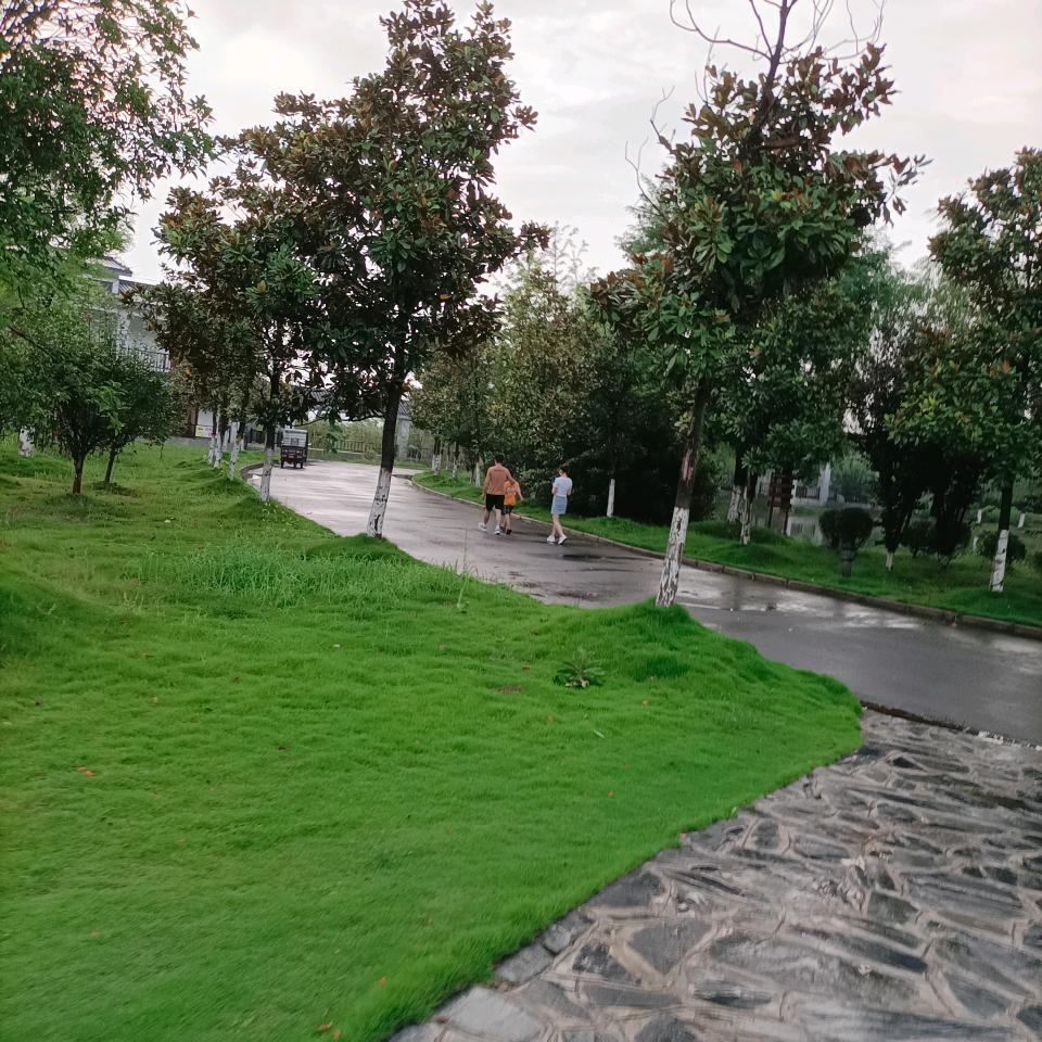 雷历风行！四姐！