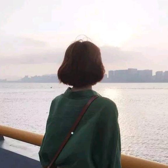情感 追剧