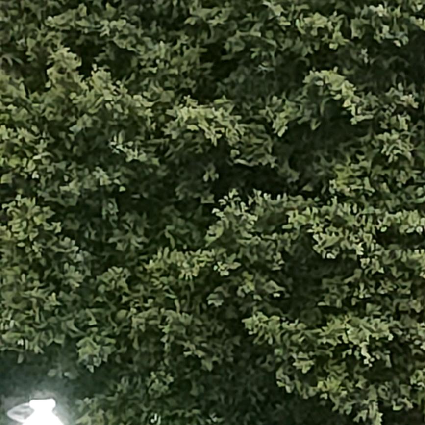 52061139587