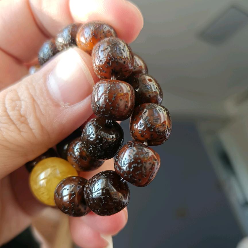 小熊先森