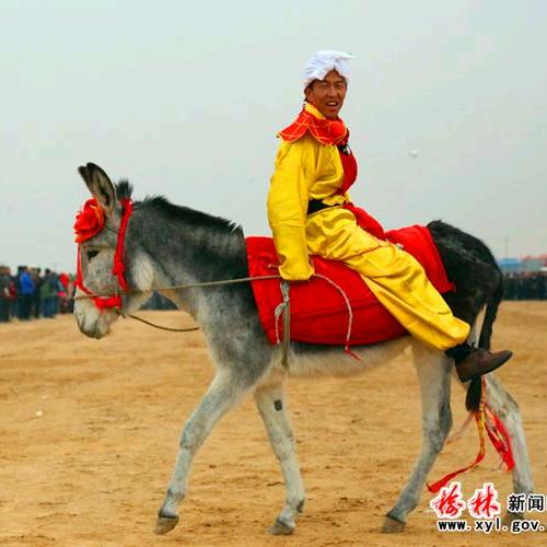 小彬重庆小面