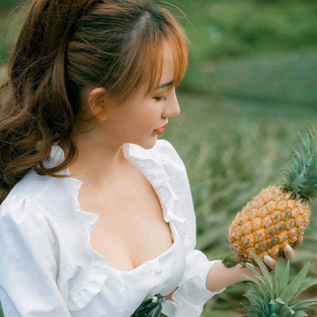橙甸园