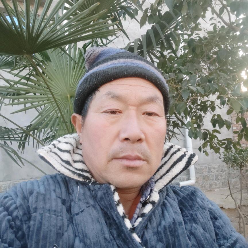 金丝吊蝴蝶摇钱树