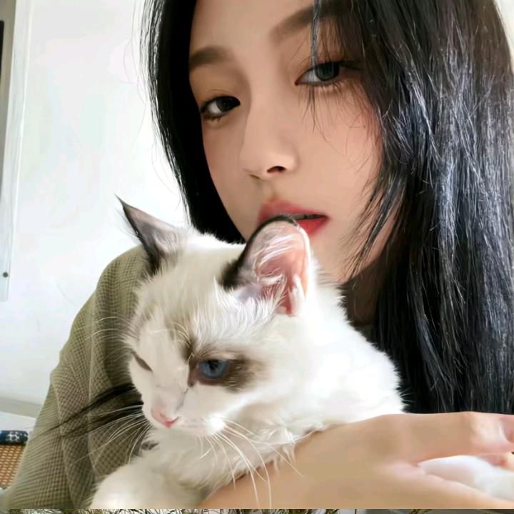 XIN-