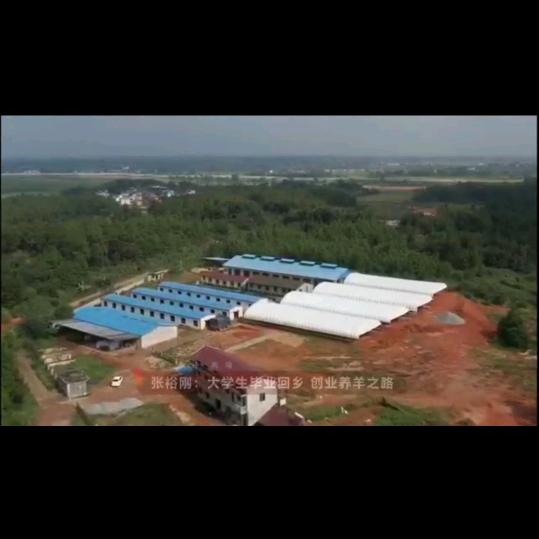 南昌羊哥烤全羊（抓只羊主题餐）