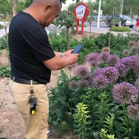 诚信为天