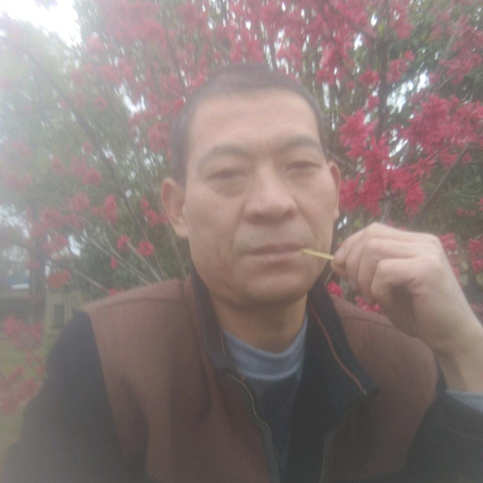 高老庄的二师兄