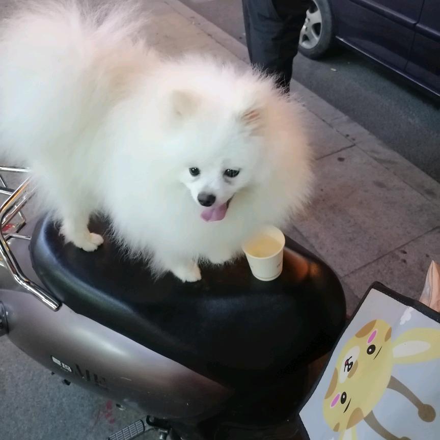 往事了无痕