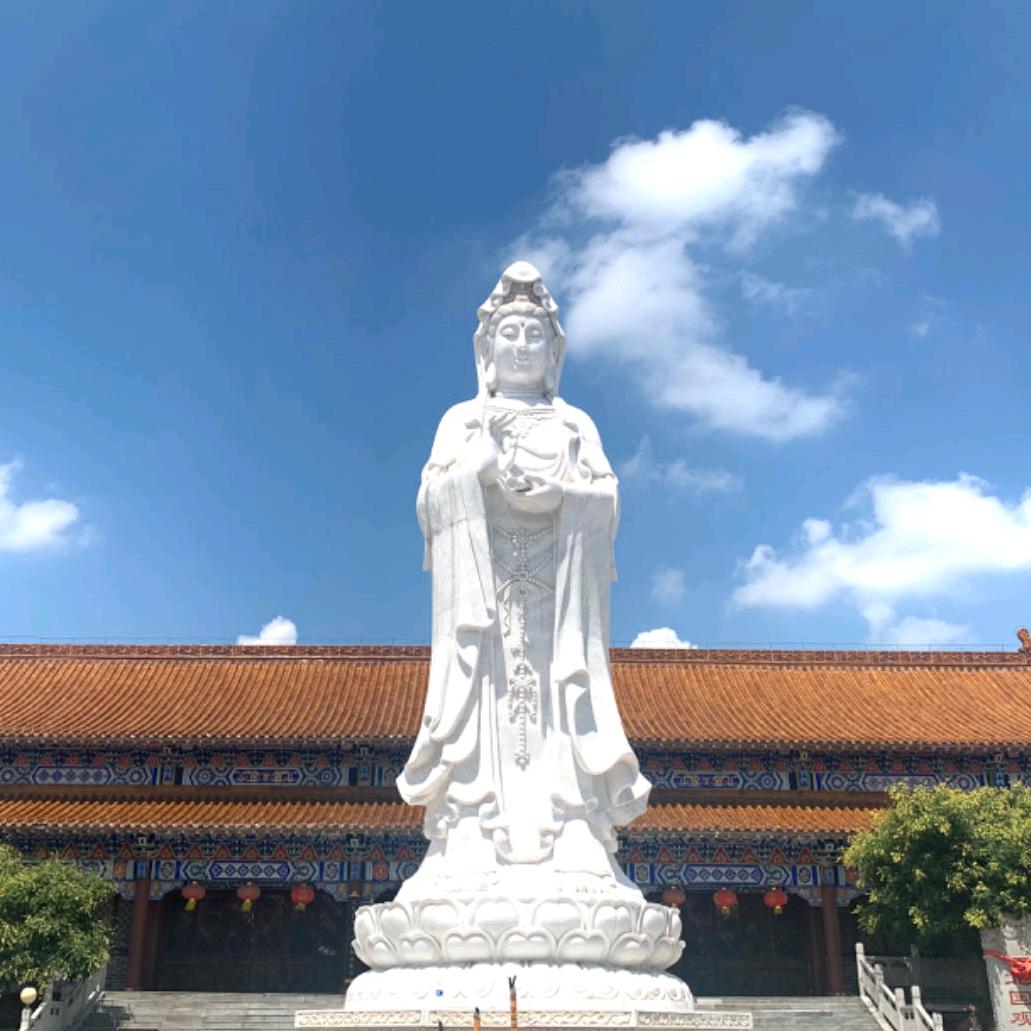 红参~李锦淑