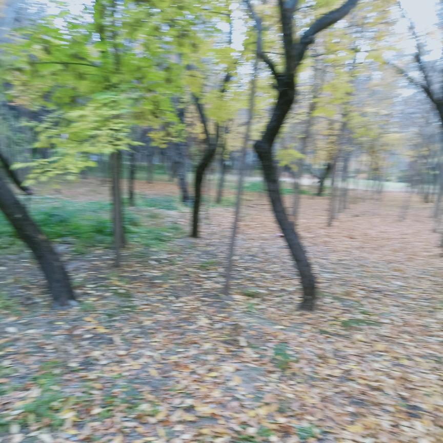 梅子