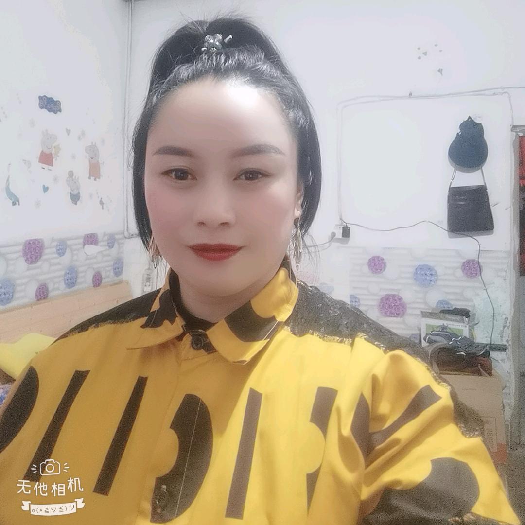 美善姐